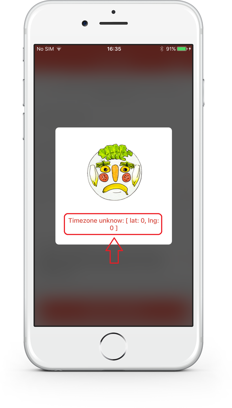 VizEat app - error codes in error notifications, screen 4 / Weekly bug crawl by QAwerk