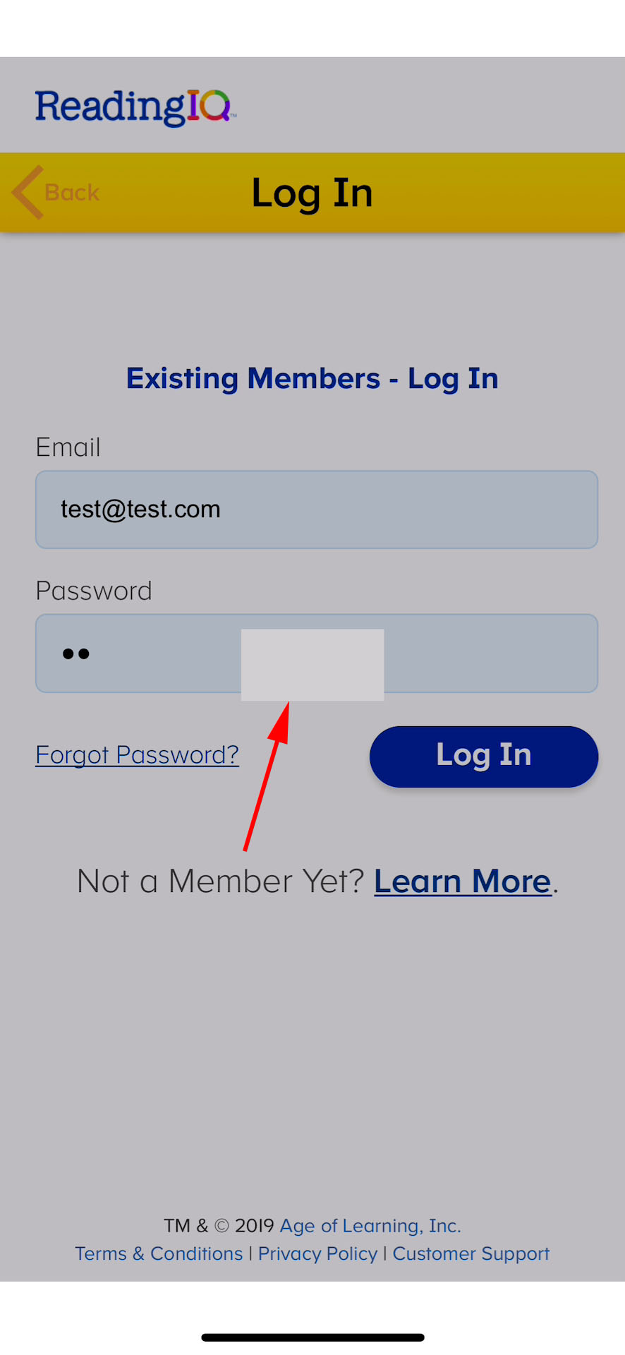 The spinner is not displayed on the ‘Log In’ screen after taping the ‘Log In’ button.