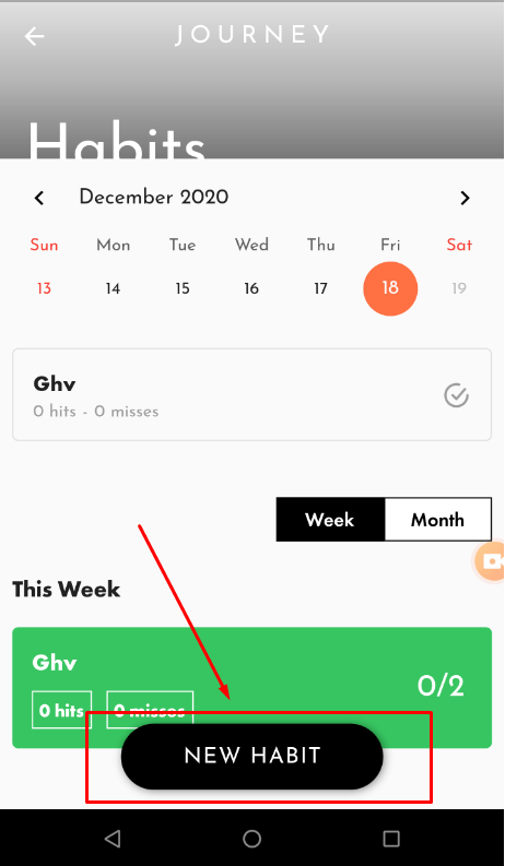 The “New Habit” button overlaps the “Ghv” field