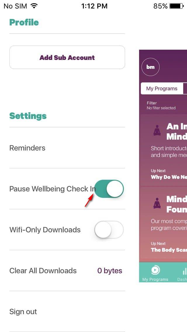 The toggle switch slightly overlaps the “Pause Wellbeing Check In” text