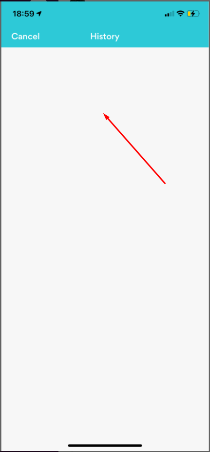 “History” page is empty with only white background