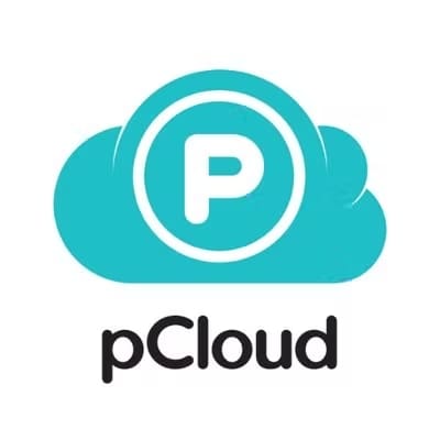 pCloud Business