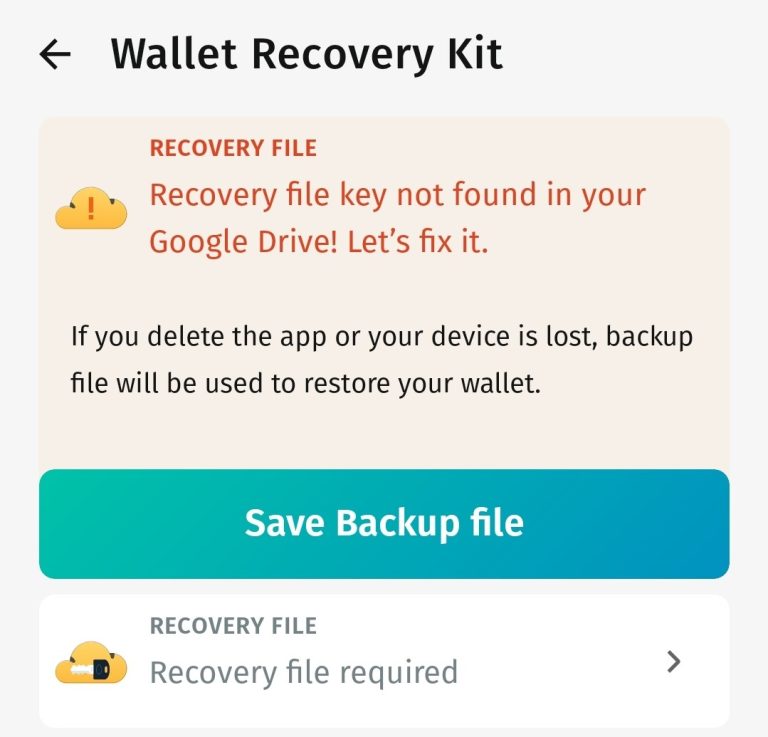 No bugs found after removing recovery file from Google Drive