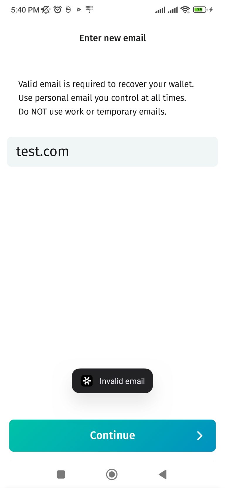 No bugs found after setting invalid email for wallet recovering