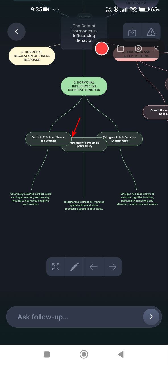 Overlapping content in second branch of upper and lower blocks in visual map